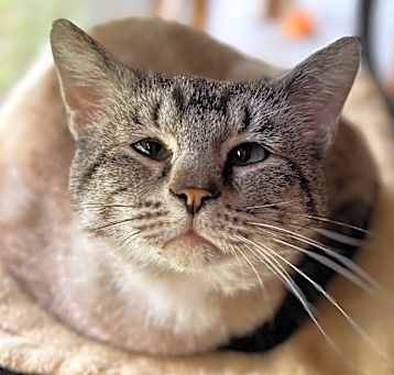 Photo of Simon