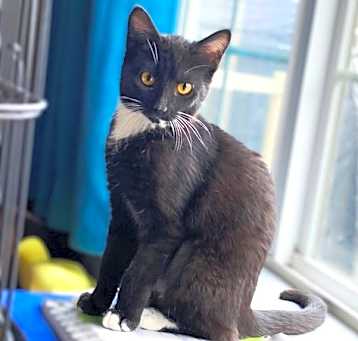 Photo of Mitzy