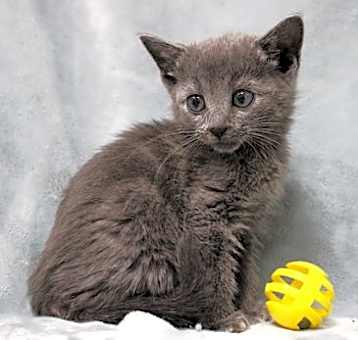 Photo of Storm