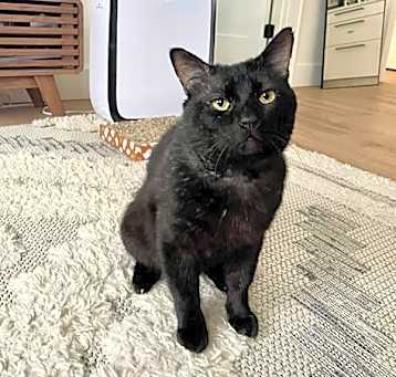 Photo of CAESAR