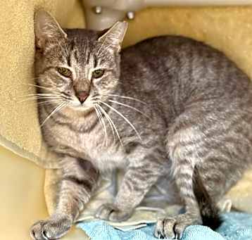 Photo of Junior (C11)