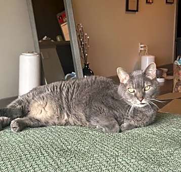 Photo of Smokey