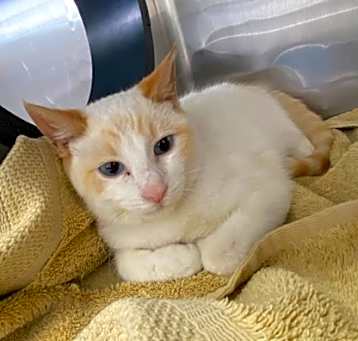 Photo of DerWhitey