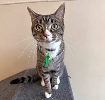 Photo of Charlie
