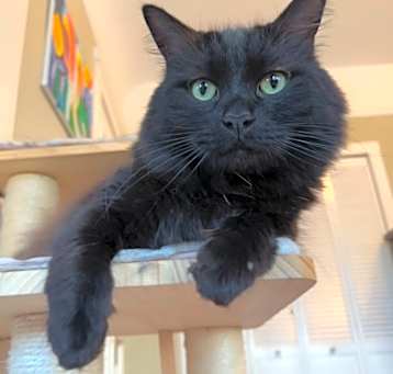 Photo of Blue