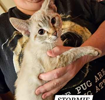 Photo of Stormie