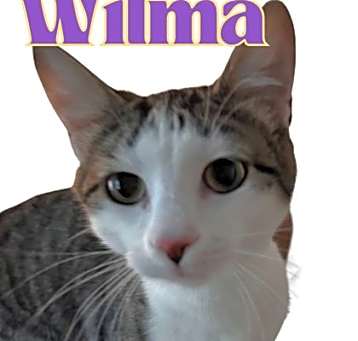 Photo of Wilma