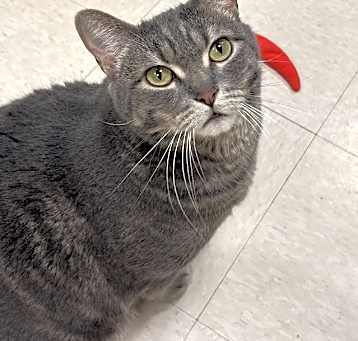 Photo of Felton