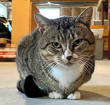 Photo of Fiyero