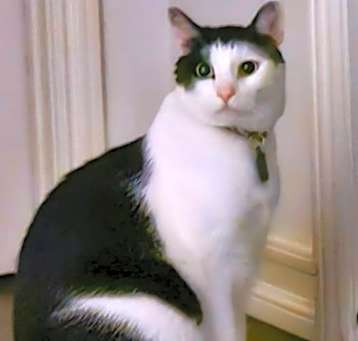 Photo of PJ
