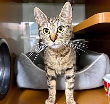 Photo of KIKI