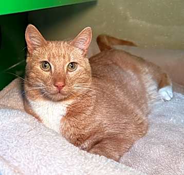 Photo of DEWY BONDED TO MOONE