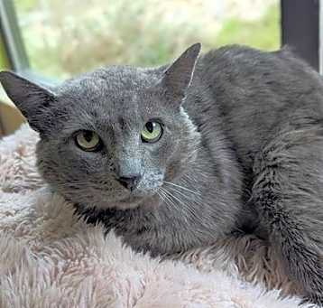 Photo of TEMPLETON