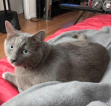 Photo of Jasper