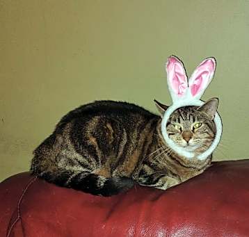 Photo of Loni