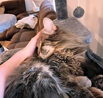 Photo of Fable + Aslan