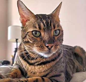 Photo of Luther