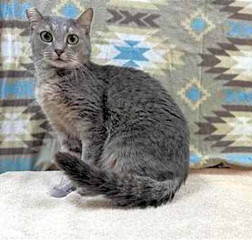 Photo of Marzipan