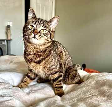 Photo of Star