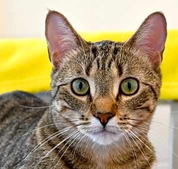 Photo of WENDELL