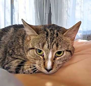 Photo of Brenda