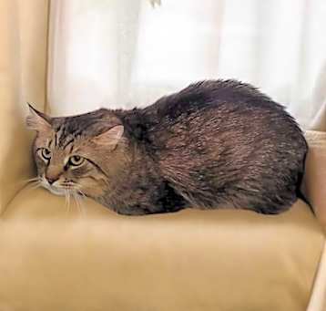 Photo of Jonesy
