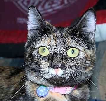 Photo of Macy