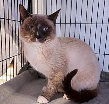 Photo of Aslan