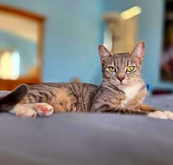 Photo of Jordache