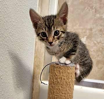 Photo of Bonjour