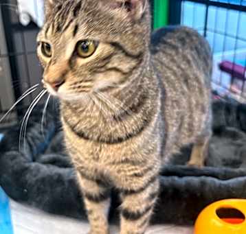 Photo of Twyla