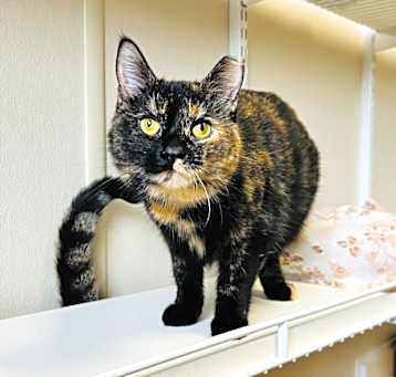 Photo of Edna