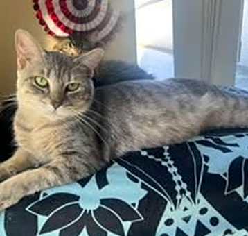 Photo of Lorelai