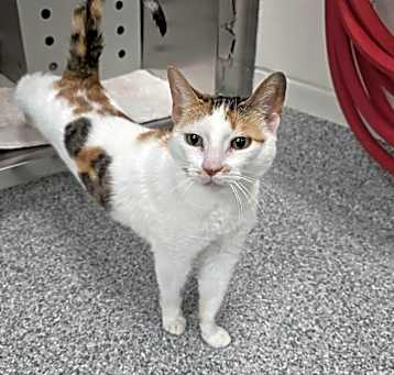 Photo of Judy