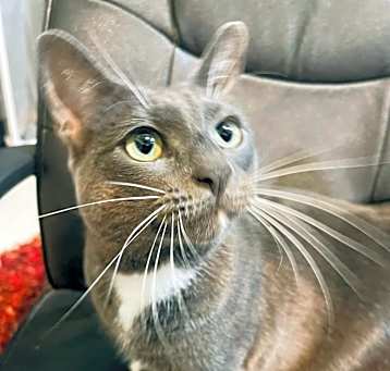 Photo of Edward