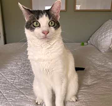 Photo of Miss Daisy