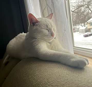 Photo of Ivy