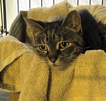 Photo of Tabitha
