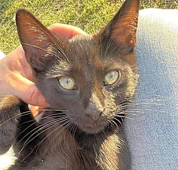 Photo of Penelope