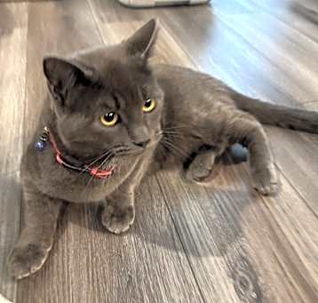 Photo of Parker