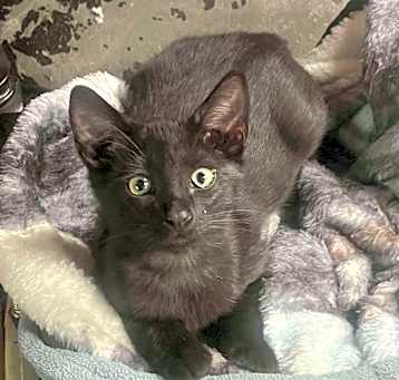 Photo of Asher