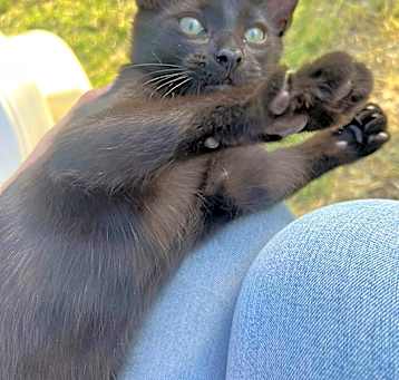 Photo of Penelope