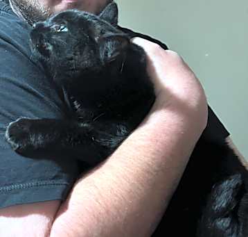 Photo of Luna