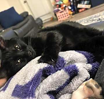 Photo of Oliver