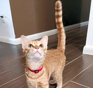 Photo of Remey