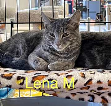 Photo of Lena M