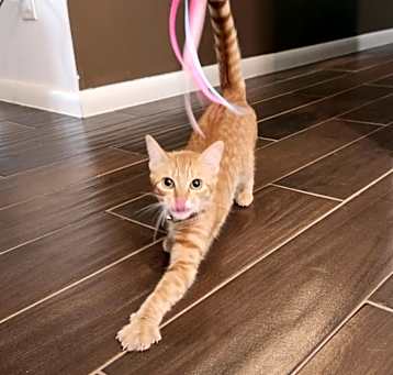 Photo of Remey