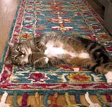 Photo of Hilda