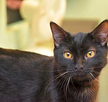 Photo of Stormy