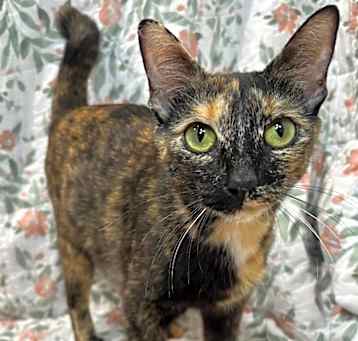 Photo of 3/26/25 - Momma Junebug